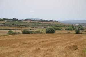 Finca Rústica Petra photo 0