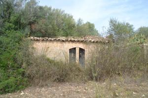 Finca en Sineu photo 0