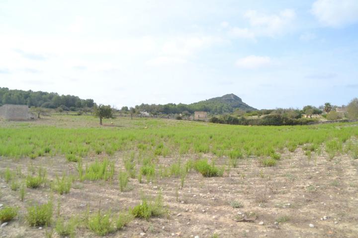 Finca rústica Sineu photo 0