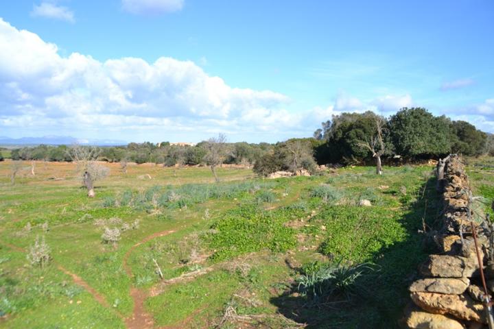 Finca rústica en Manacor photo 0