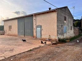 Finca en Llubi photo 0