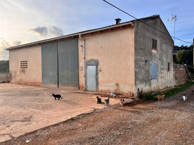 Finca en Llubi photo 0