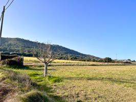 Finca rústica en Alcudia photo 0