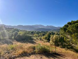 Finca en Alquiler en Campanet photo 0
