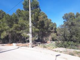 Terreno Urbanizable En venta en Alberic photo 0