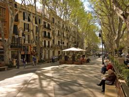 Comunidad En alquiler en Cort, Palma De Mallorca photo 0