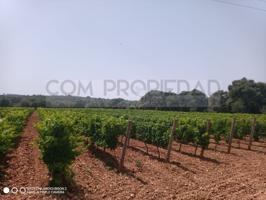 Otro En venta en Costitx photo 0