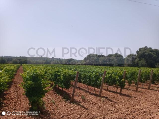 Otro En venta en Costitx photo 0
