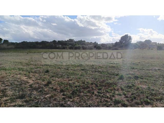 Terreno Urbanizable En venta en Manacor photo 0