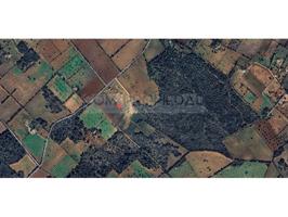 Otro En venta en Llucmajor photo 0