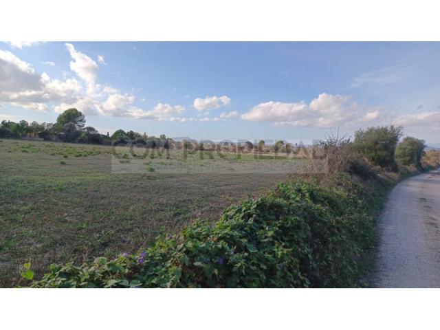 Terreno Urbanizable En venta en Manacor photo 0