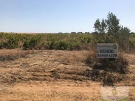 Terreno Urbanizable En venta en Remuñana, Bollullos Par Del Condado photo 0