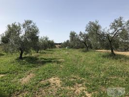 Terreno Urbanizable En venta en Remuñana, Bollullos Par Del Condado photo 0