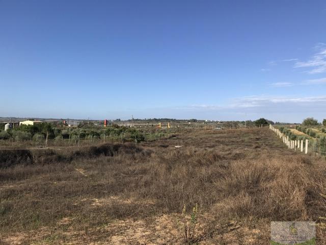 Terreno Urbanizable En venta en Condado De Huelva, La Palma Del Condado photo 0