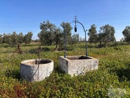 Terreno Urbanizable En venta en Almonte, Almonte photo 0