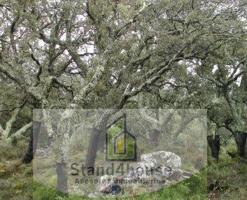 Terreno Urbanizable En venta en Berrocal, Berrocal photo 0