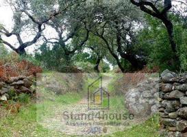 Terreno Urbanizable En venta en Escacena Del Campo, Escacena Del Campo photo 0