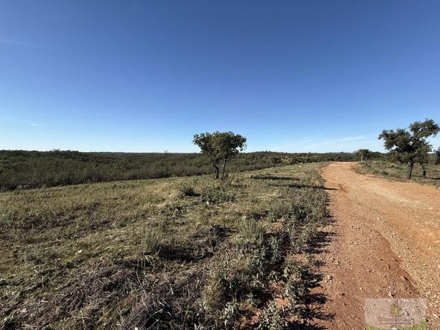 Terreno Urbanizable En venta en Berrocal, Berrocal photo 0