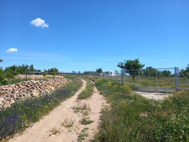 PARCELA RUSTICA VALLADA EN CUESTA BLANCA photo 0