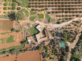 OPORTUNIDAD ÚNICA | Terreno Rústico con Vivienda – Paraje del Sabinar (junto a Los Nietos y Los Belones) photo 0