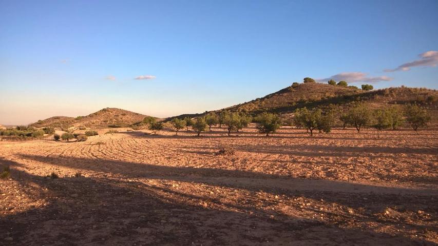 Finca rústica en Cañada Hermosa zona El Pedrusco photo 0