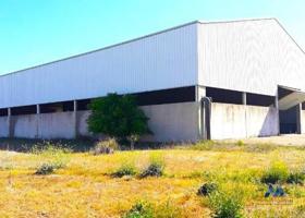 Nave Industrial en venta en Torrejón del Rey de 5040 m2 photo 0