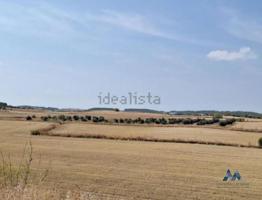 Terreno en venta en Valdemoro de 9800 m2 photo 0