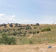 Terreno en venta en Bargas de 11708 m2 photo 0
