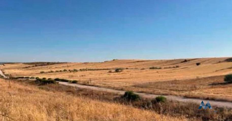 Terreno en venta en Paracuellos de Jarama de 17713 m2 photo 0