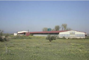 Terreno en venta en Herencia de 27410 m2 photo 0