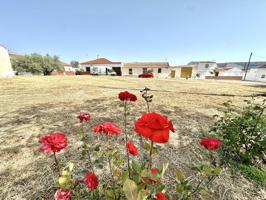Terreno en venta en Antequera de 915 m2 photo 0