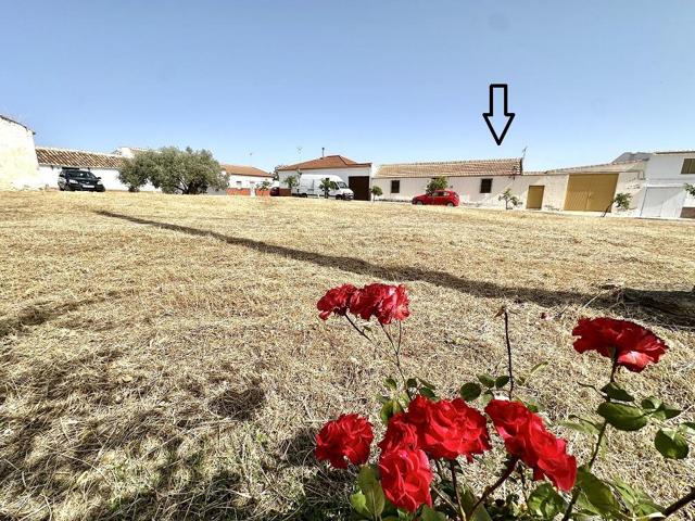 Casa a reformar-demoler, con 1.000m2 de patio, en La Colonia de Santa Ana - Antequera (Málaga) photo 0