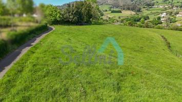 Terreno en venta en Oviedo de 4211 m2 photo 0