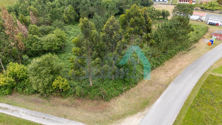 Terreno en venta en Salamir de 3743 m2 photo 0
