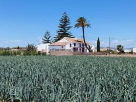 Alquería en Alboraya photo 0