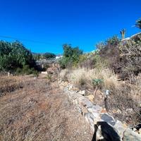 Se vende en Granadilla finca de 12.000m2 aprox photo 0
