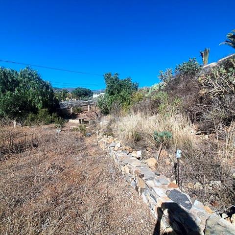 Se vende en Granadilla finca de 12.000m2 aprox photo 0