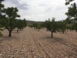 Terreno en venta en Jumilla de 675000 m2 photo 0