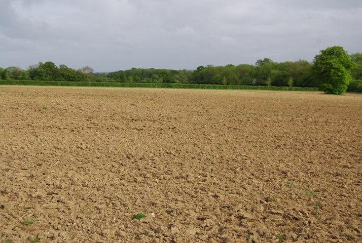 Terreno en venta en Jumilla de 470000 m2 photo 0
