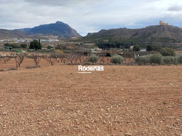 Terreno en venta en Jumilla de 13363 m2 photo 0
