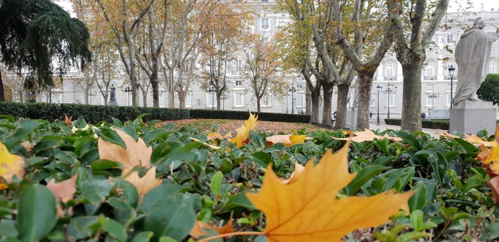 Alquiler Madrid centro historico photo 0