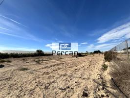 Finca Rústica en venta en Elx de 11882 m2 photo 0