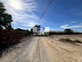 Finca Rústica en venta en Elx de 11882 m2 photo 0