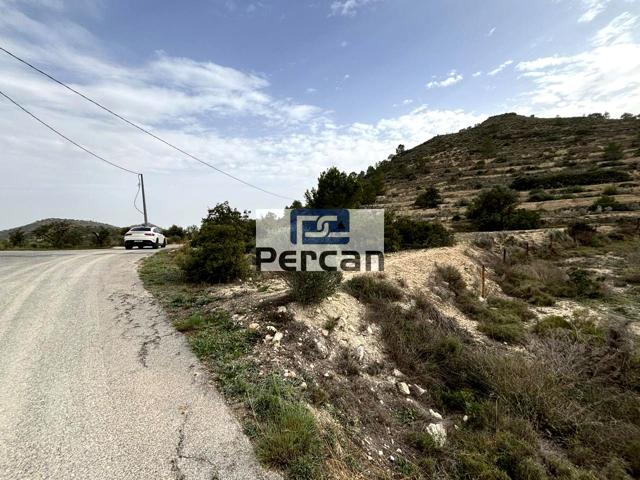 Finca Rústica en venta en Aguas de Busot de 4574 m2 photo 0
