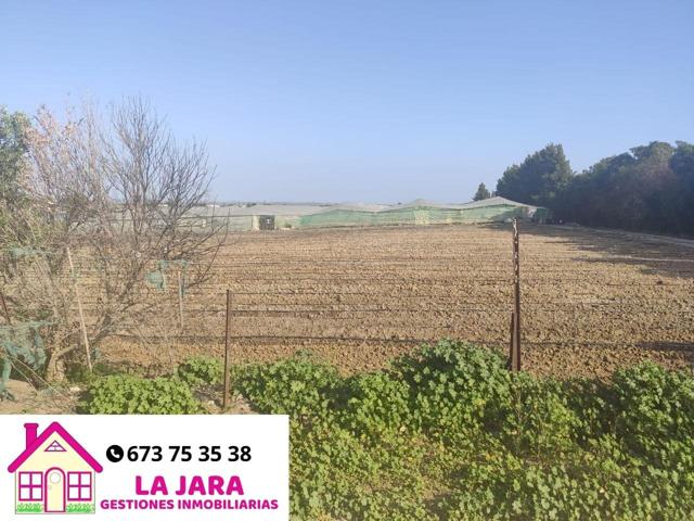 TERRENO CON INVERNADERO EN EL BERCIAL photo 0