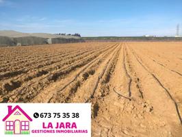 Finca Rústica en venta en Chipiona de 10000 m2 photo 0