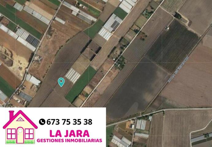 PARCELA EN LA LOMA BAJA photo 0