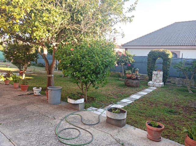 CASA CON PARCELA EN LA JARA photo 0