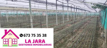 FINCA DE INVERNADEROS CON FACILIDAD DE PAGO photo 0