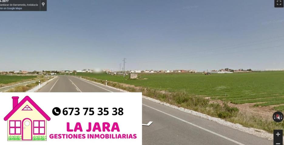 PARCELA DE 2600M EN CUESTA BLANCA-CARRETERA MUNIVE photo 0